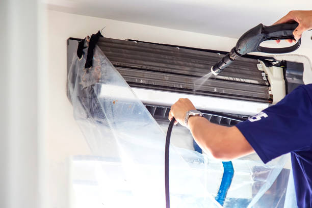 Best Mold and Mildew Removal from Ducts in Sun City, AZ